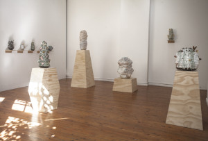 A gallery room with wooden floors and white walls, displaying various ceramic sculptures on wooden pedestals and shelves. The sculptures have diverse textures, shapes, and decorative elements. Light from a nearby window casts patterns on the floor.