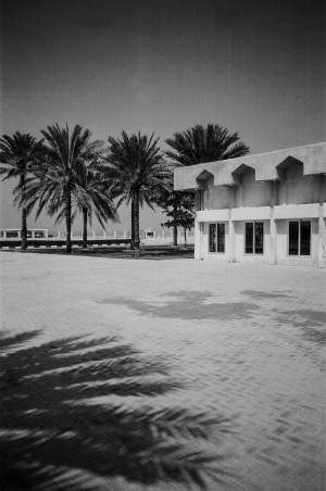 A black-and-white photograph shows a paved courtyard area with the shadows of palm trees cast on the ground. In the background, there are several tall palm trees lining a walkway or road. To the right, part of a modern building with large windows and geometric design elements is visible. The scene captures a quiet, sunny day with clear skies, emphasising the architectural and natural elements of the location.