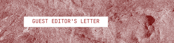 Thumbnail image for ‘Guest Editor's Letter’ by Maya Hodge