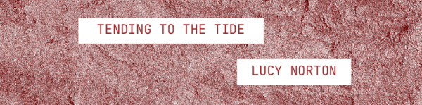 Thumbnail image for ‘tending to the tide’ by Lucy Norton